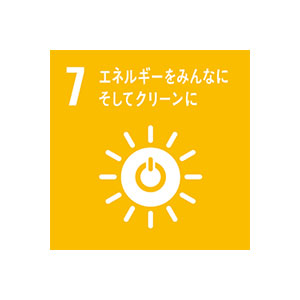 SDGs